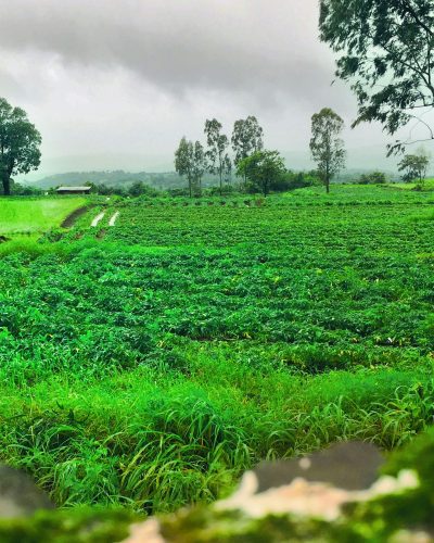 loonback-YTannMljUJ0-unsplash