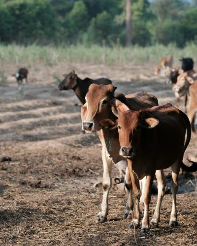 marco-j-haenssgen-Fad62P1O8JY-unsplash